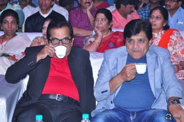 Mama Manchu Alludu Kanchu Movie Audio Launch